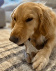 Deer Antler Dog Chews | Organic Chews for Dogs