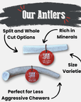 Elk Antler Dog Chews | All-Natural Whole and Split Elk Antler Chews for Dogs