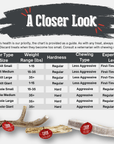 Elk Antler Dog Chews | All-Natural Whole and Split Elk Antler Chews for Dogs