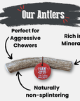 Elk Antler Dog Chews | All-Natural Whole and Split Elk Antler Chews for Dogs