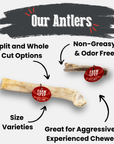 Reindeer Antler Dog Chews | Organic Chews for Dogs