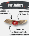 Reindeer Antler Dog Chews | Organic Chews for Dogs