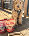 Reindeer Antler Dog Chews | Organic Chews for Dogs