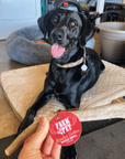 Reindeer Antler Dog Chews | Organic Chews for Dogs