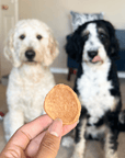 Chicken Chips for Dogs | All-Natural Single-Ingredient Dog Treats