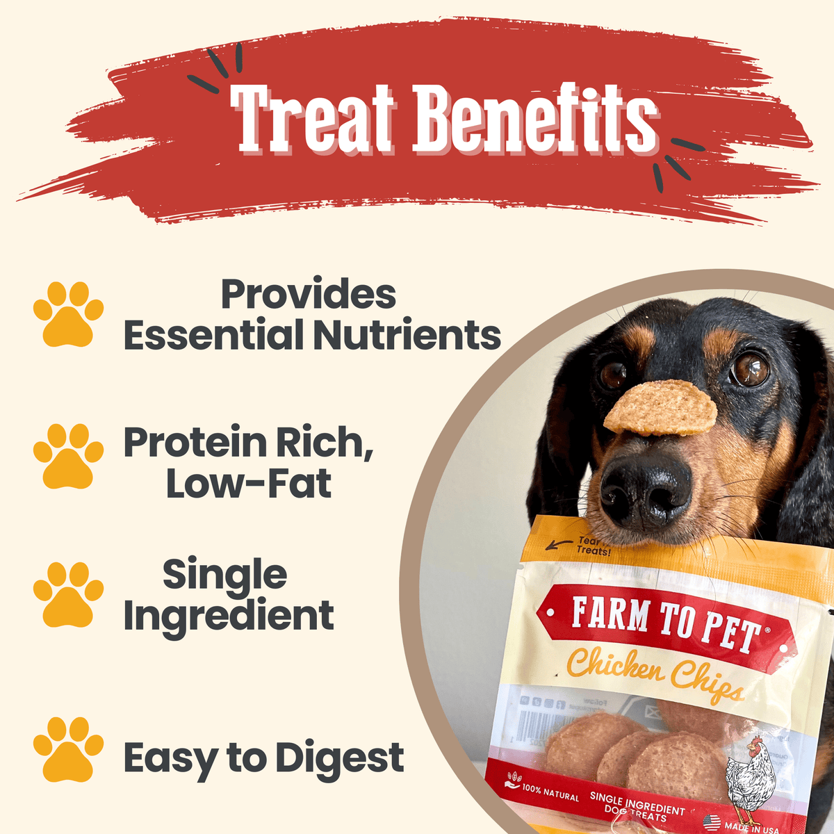 Chicken Chips Snack Pack Bundles | Dog Party Favors &amp; Training Treats