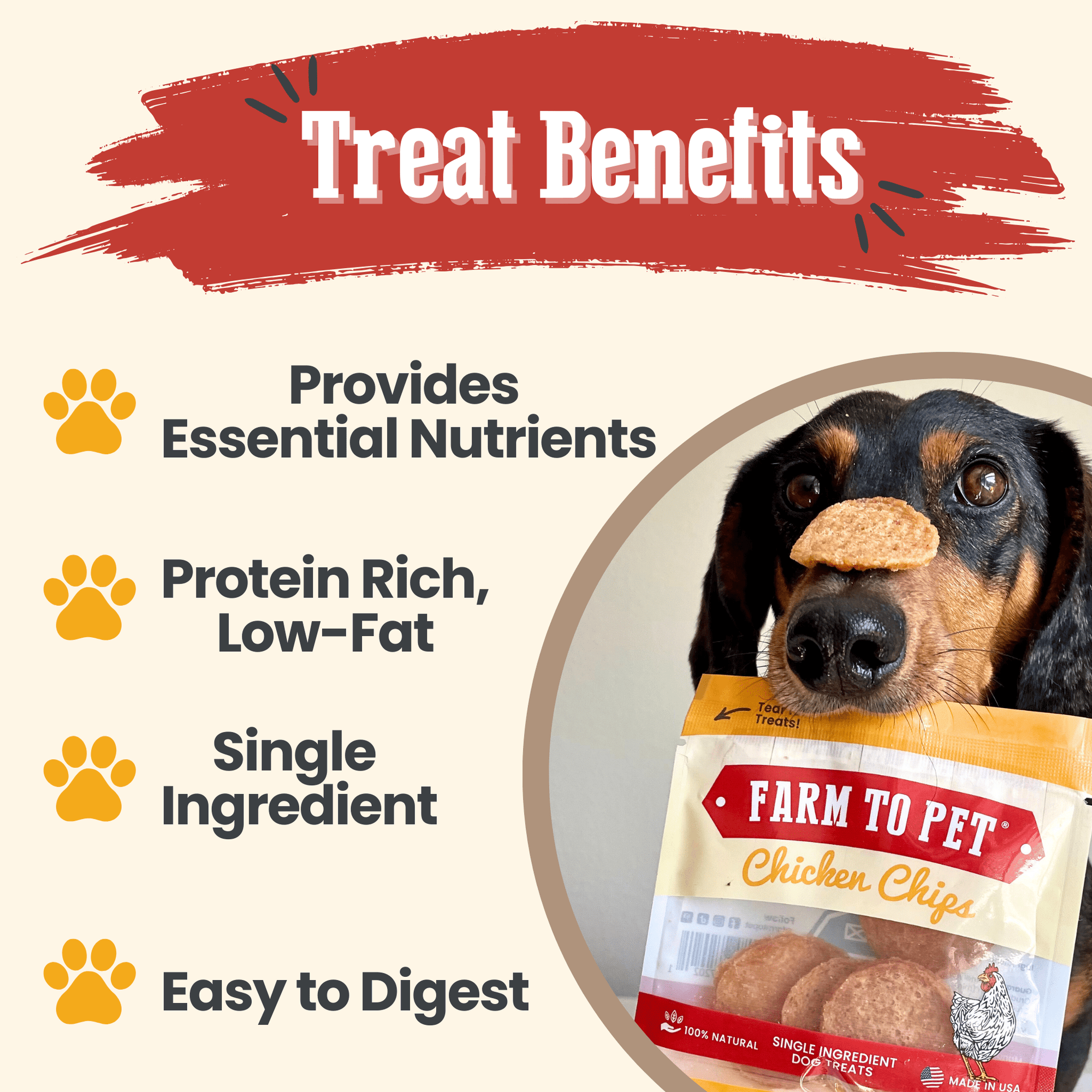 Chicken Chips Snack Pack Bundles | Dog Party Favors &amp; Training Treats