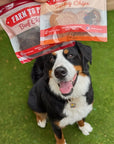 Puppy Packs 'n Snacks Dog Treat Starter Pack | Single-Ingredient Training Treats