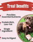 Puppy Packs 'n Snacks Dog Treat Starter Pack | Single-Ingredient Training Treats