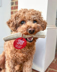 Elk Antler Dog Chews | All-Natural Whole and Split Elk Antler Chews for Dogs