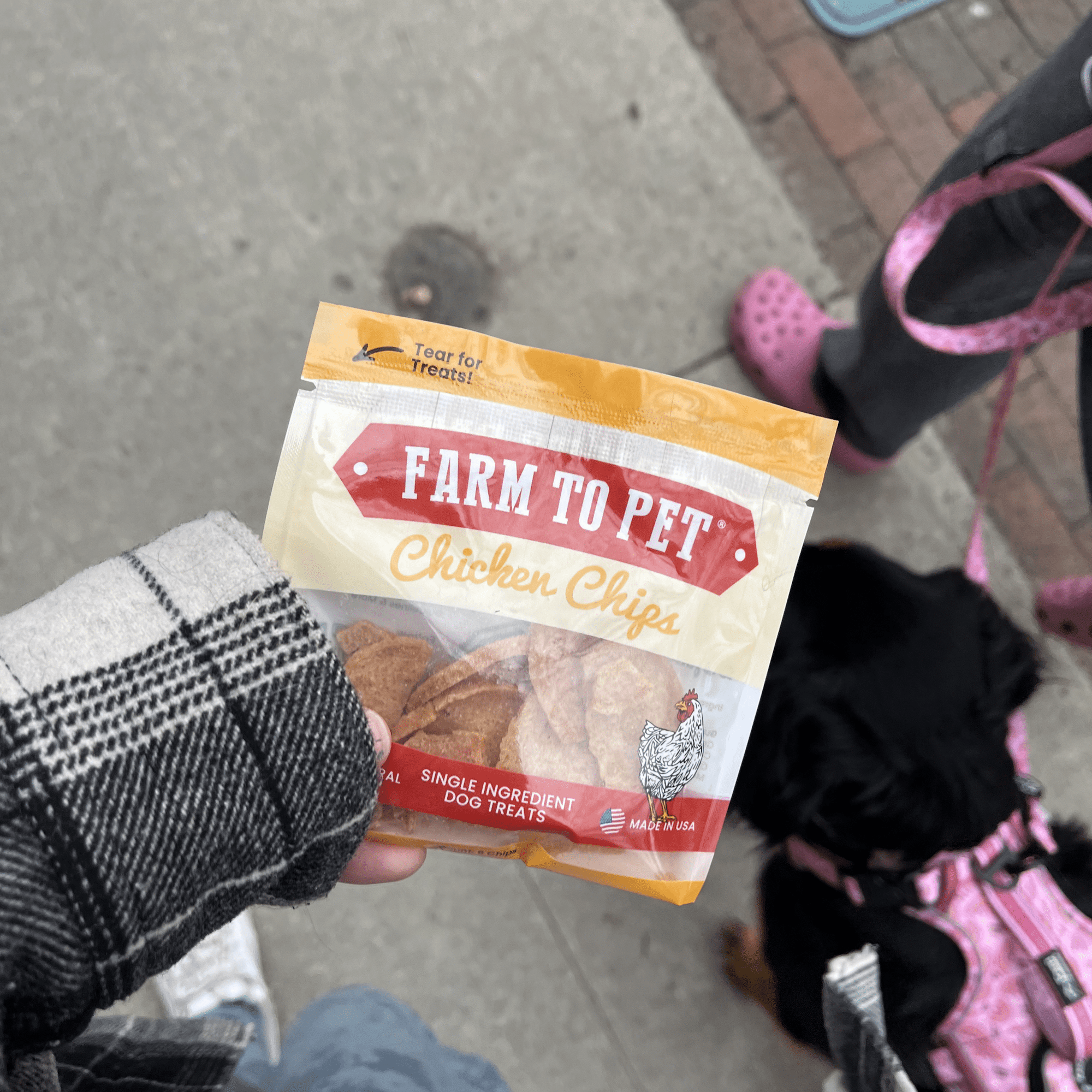 Chicken Chips Snack Pack Bundles | Dog Party Favors &amp; Training Treats