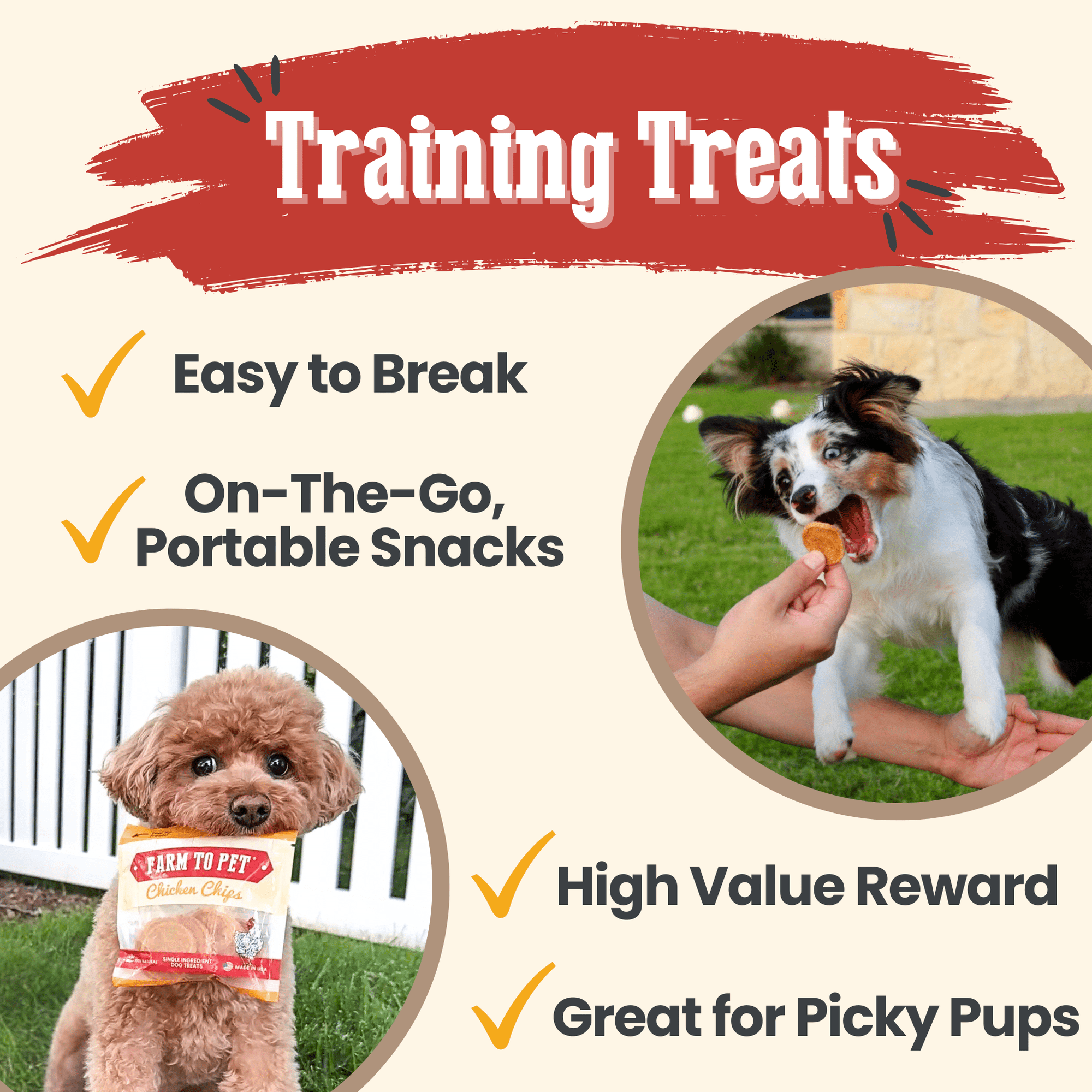 Chicken Chips Snack Pack Bundles | Dog Party Favors &amp; Training Treats