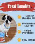 Chicago Chicken Chips for Dogs | Dog Treats To Celebrate Our Hometown