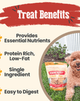 Chicken Chips for Dogs | All-Natural Single-Ingredient Dog Treats