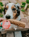 Elk Antler Dog Chews | All-Natural Whole and Split Elk Antler Chews for Dogs