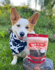 Beef Chips Dog Treats | Single-Ingredient Healthy Treats for Dogs
