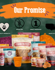 Halloween 31 Snack Pack Dog Treat Box