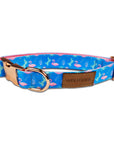 Flamingo Fiesta Collar