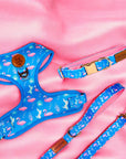 Flamingo Fiesta Harness