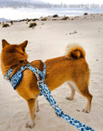 Great Wave Harness