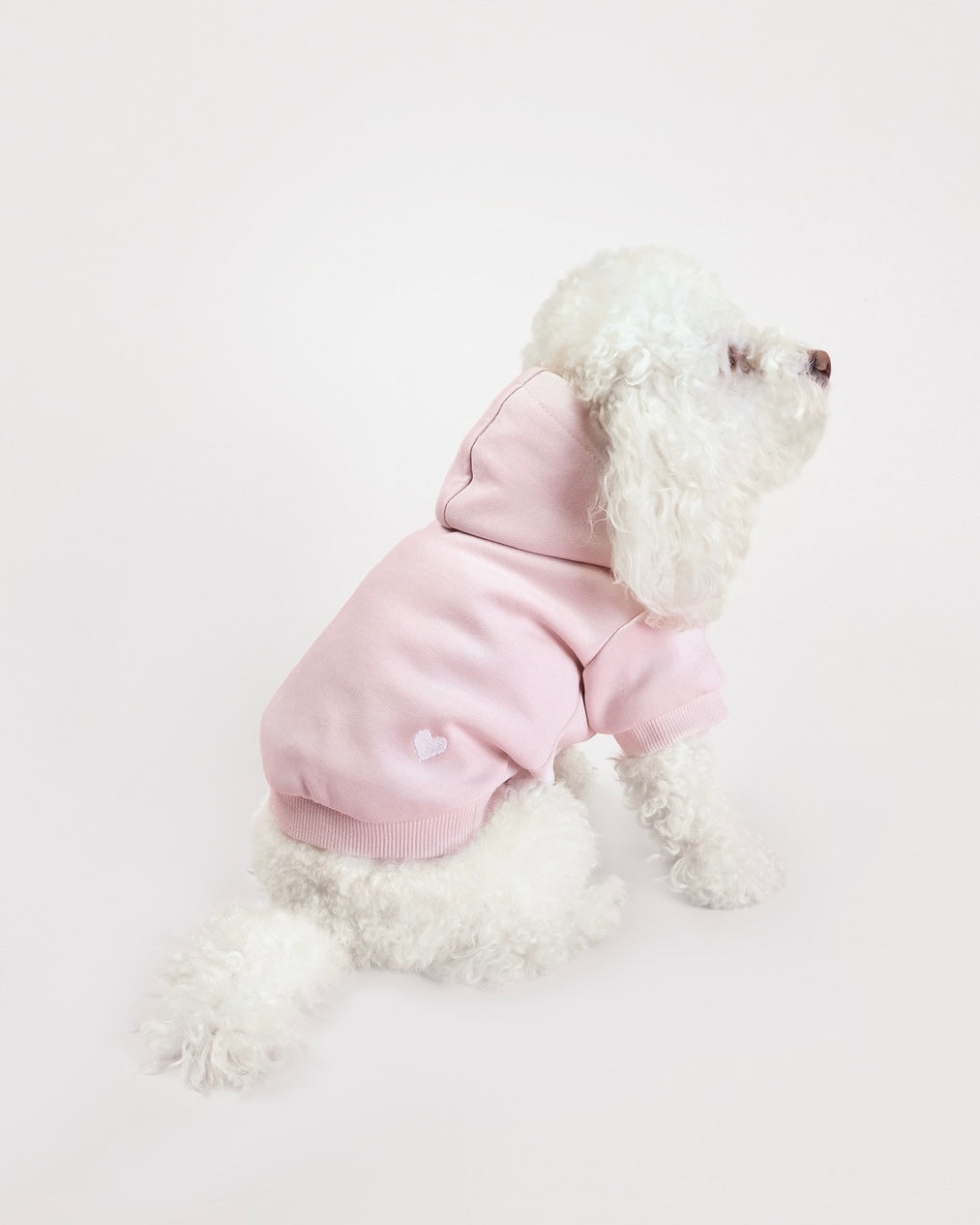 Heart Hoodie