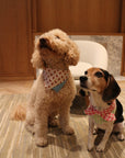 Gingerbread Man Joy Handmade Bandana