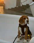 Brown - Comfort Dog Harness