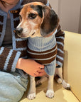 Bluebell Stripes Sweater
