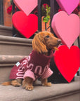 Rosé Bliss Sweater