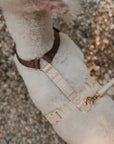 Brown and Tan - Dog Harness