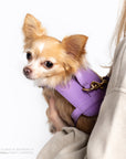 Fairy Heritage Harness