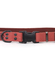 Celtic Sport Quick-Release Leather Dog Collar