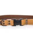 Celtic Sport Quick-Release Leather Dog Collar