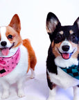 Asanoha Cooling Bandana