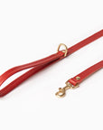 Mars Leash