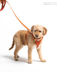 Sunset Heritage Harness