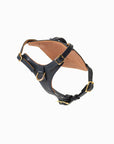 Midnight Heritage Harness
