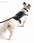 Midnight Heritage Harness