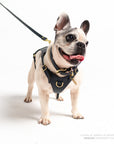 Midnight Heritage Harness