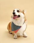 Park Day Denim Gingham Print Handmade Bandana