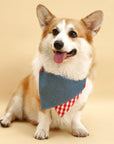 Park Day Denim Gingham Print Handmade Bandana