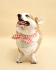 Picnic Bliss Floral Gingham Print Bandana