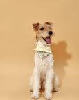 Bowtiful Garden Butter Yellow Floral Bandana