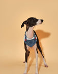 Reversible Denim Cherry Overalls Pet Bandana