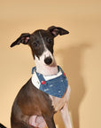 Reversible Denim Cherry Overalls Pet Bandana