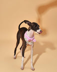 Bowtiful Garden Pink Floral Bandana