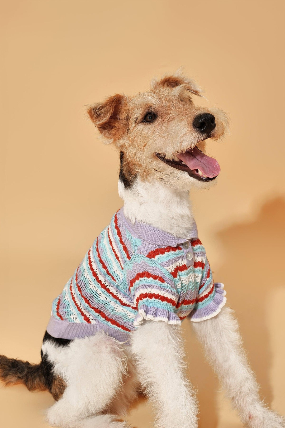 Pet &amp; Me Spring Summer Lavender Ruffle Crochet Short Sleeve Polo Shirt