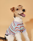 Pet & Me Spring Summer Lavender Ruffle Crochet Short Sleeve Polo Shirt