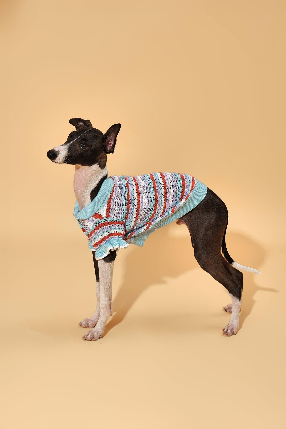Pet &amp; Me Spring Summer Ocean Blue Ruffle Crochet Short Sleeve Polo Shirt