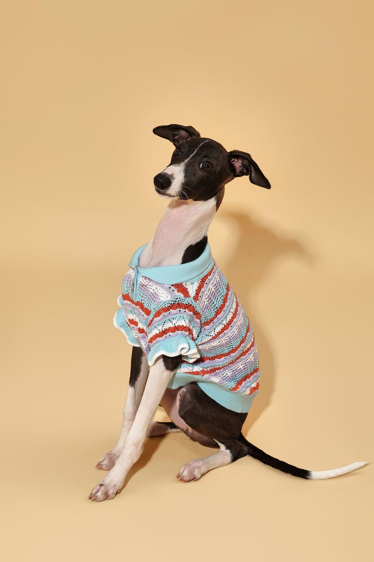 Pet &amp; Me Spring Summer Ocean Blue Ruffle Crochet Short Sleeve Polo Shirt